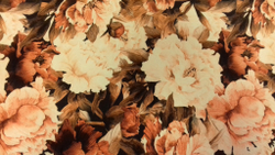 Микровелюр Xpoint 0076.03 Цветы