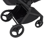 Детская коляска Anex Flo 2 в 1 Lungo