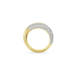 DEXTERA:RING ROUND CRY/GOS 52