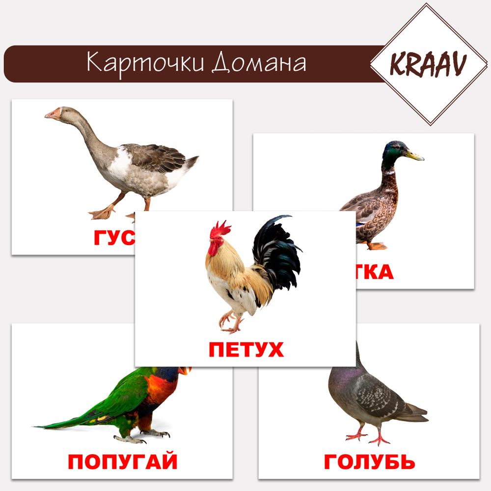 Карточки Домана &quot;Фрукты и ягоды&quot;