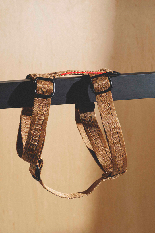 Шлейка "Пони-Компаньони" Рыжий