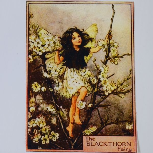 THE BLACKTHORN FAIRY Панно, холст 20 / 15 см 1