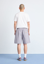 Carhartt WIP GELLAR GLENVILLE - Шорты - многоцветный полосатый/разноцветный