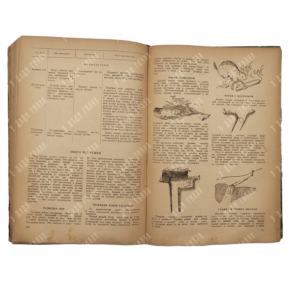 Книга вожатого. – М.: Молодая Гвардия, 1947.