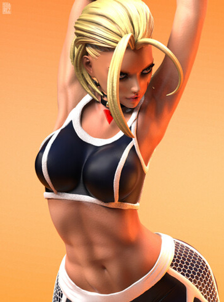 Cammy White Street Fighter Кэмми Уайт Уличный боец