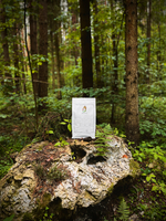 Сухой корм SHAMAN "Дух дикой природы" Ягненок с осетриной 2.5 кг; крупная гранула; для взрослых собак; Класс Холистик