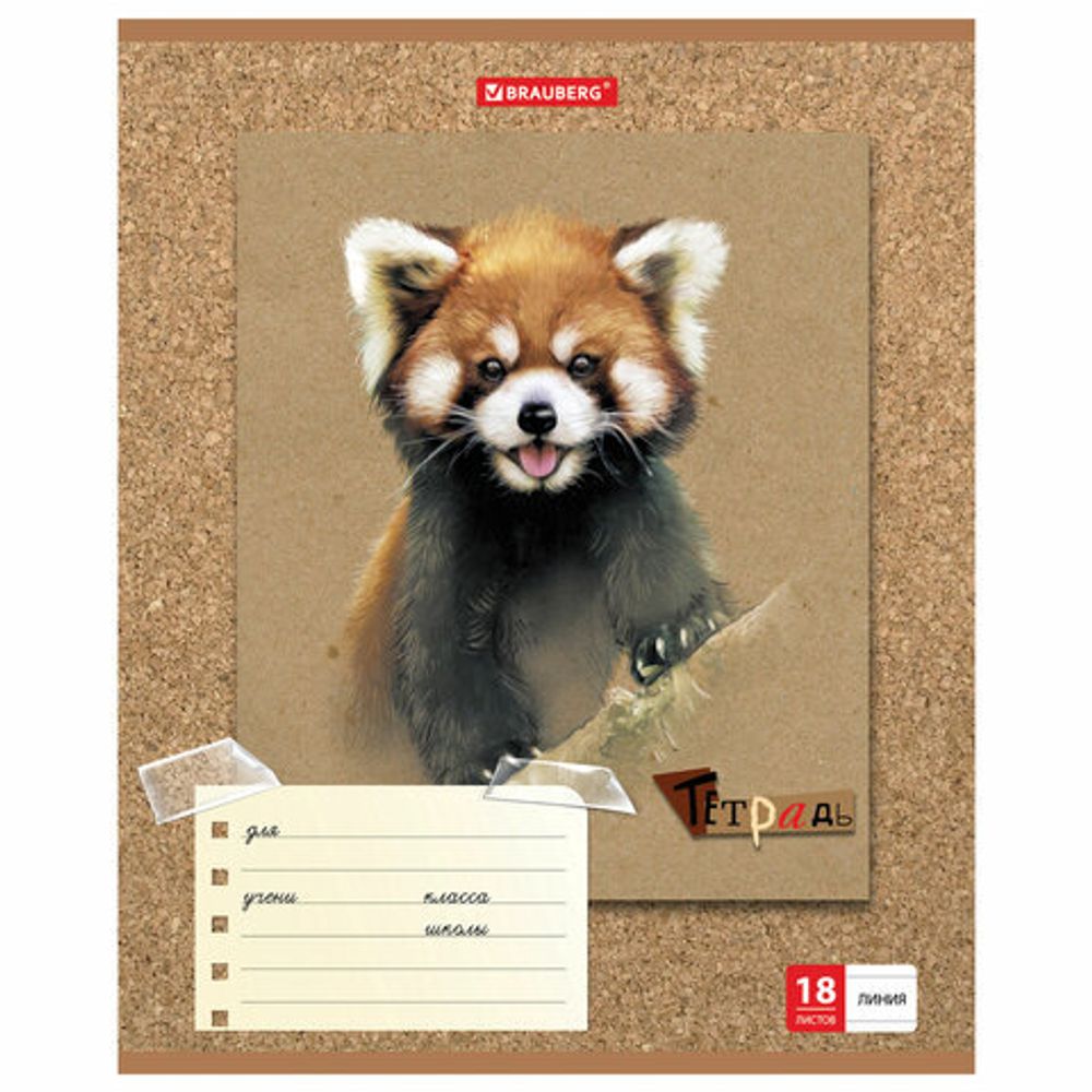 Тетрадь 18 л. BRAUBERG линия, обложка картон, "МИЛЫЕ ЗВЕРУШКИ", 403580, 5шт