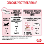 ROYAL CANIN Kitten Корм влажный для котят в возрасте до 12 месяцев (кусочки в соусе), 85 г