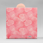 Коробка складная «Принцесса», 25 х 25 х 10 см