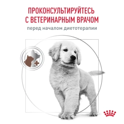 Royal canin gastrointestinal puppy сухой корм для щенков при расстройствах пищеварения - 1 кг