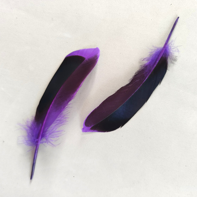 Перья кряквы фиолетовые 10 шт.