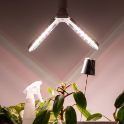 Фитолампа для растений светодиодная ЭРА GREEN LINE ФИТО-20W-PFR-E27-GR 2-х лепестковая полного спектра 20 Вт Е27 | Фитолампы Е27