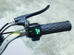 Электровелосипед Green Camel Транк-18-60 (R18 350W 60V) Алюм