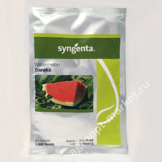 Барака F1 семена арбуза – фото 2