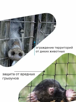 Сетка сварная оцинкованная для забора 1 м х 10 м, проволока 0,6 мм, ячейка 20 х 20 мм