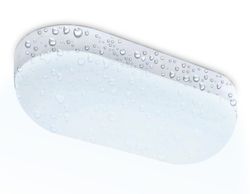 Ambrella Светильник светодиодный влагозащищенный Street ST8655