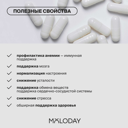 Комплекс железа Iron complex with vitamins, 60 капсул | MOLODAY