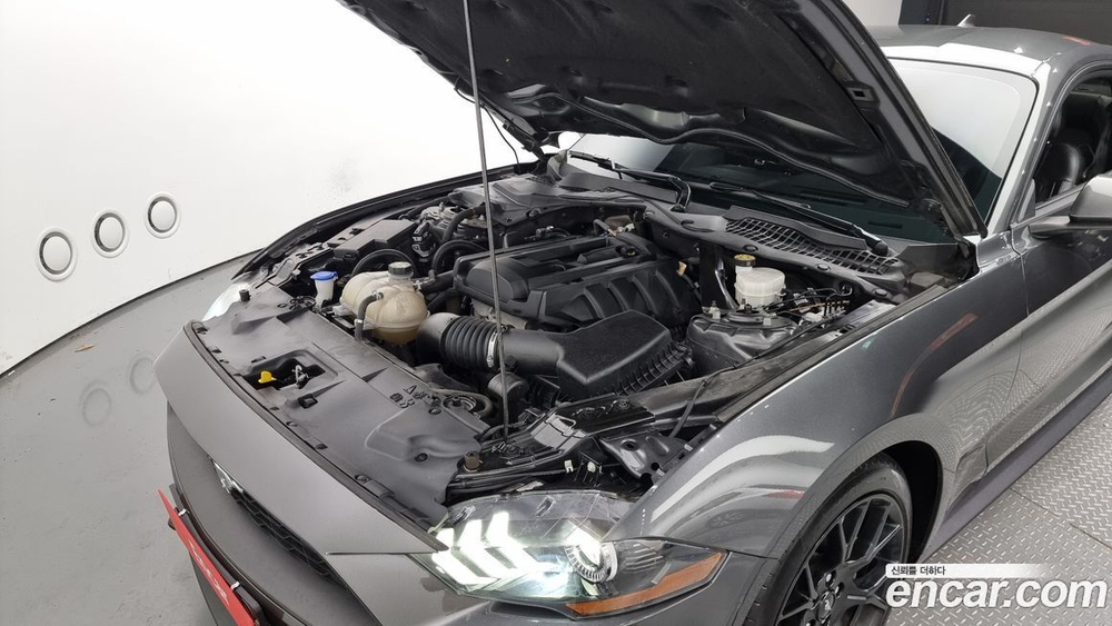 Ford Mustang Coupe (06.2020)