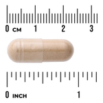 Swanson Vitamins, Full Spectrum®, гриб шиитаке, 500 мг, 60 капсул