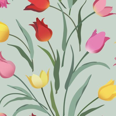 Разноцветные тюльпаны на светло-зелёном фоне