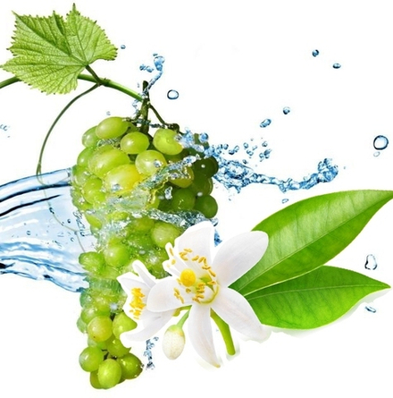 METHYL ANTHRANILATE - A-TOCOPHEROL (AROMES) / МЕТИЛАНТРАНИЛАТ - А-ТОКОФЕРОЛ (АРОМЫ) CAS 134-20-3