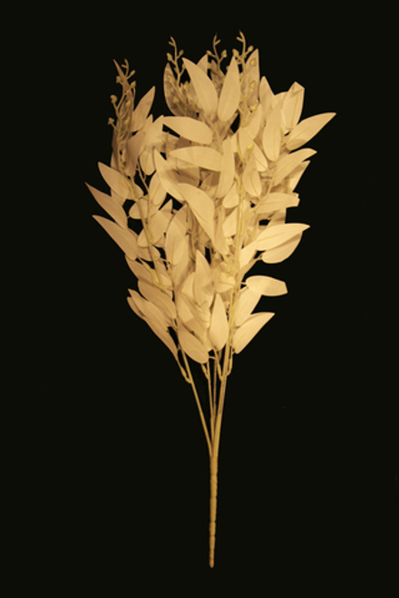 Кустик ивы белый