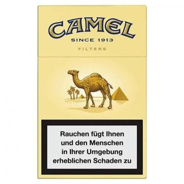 Camel