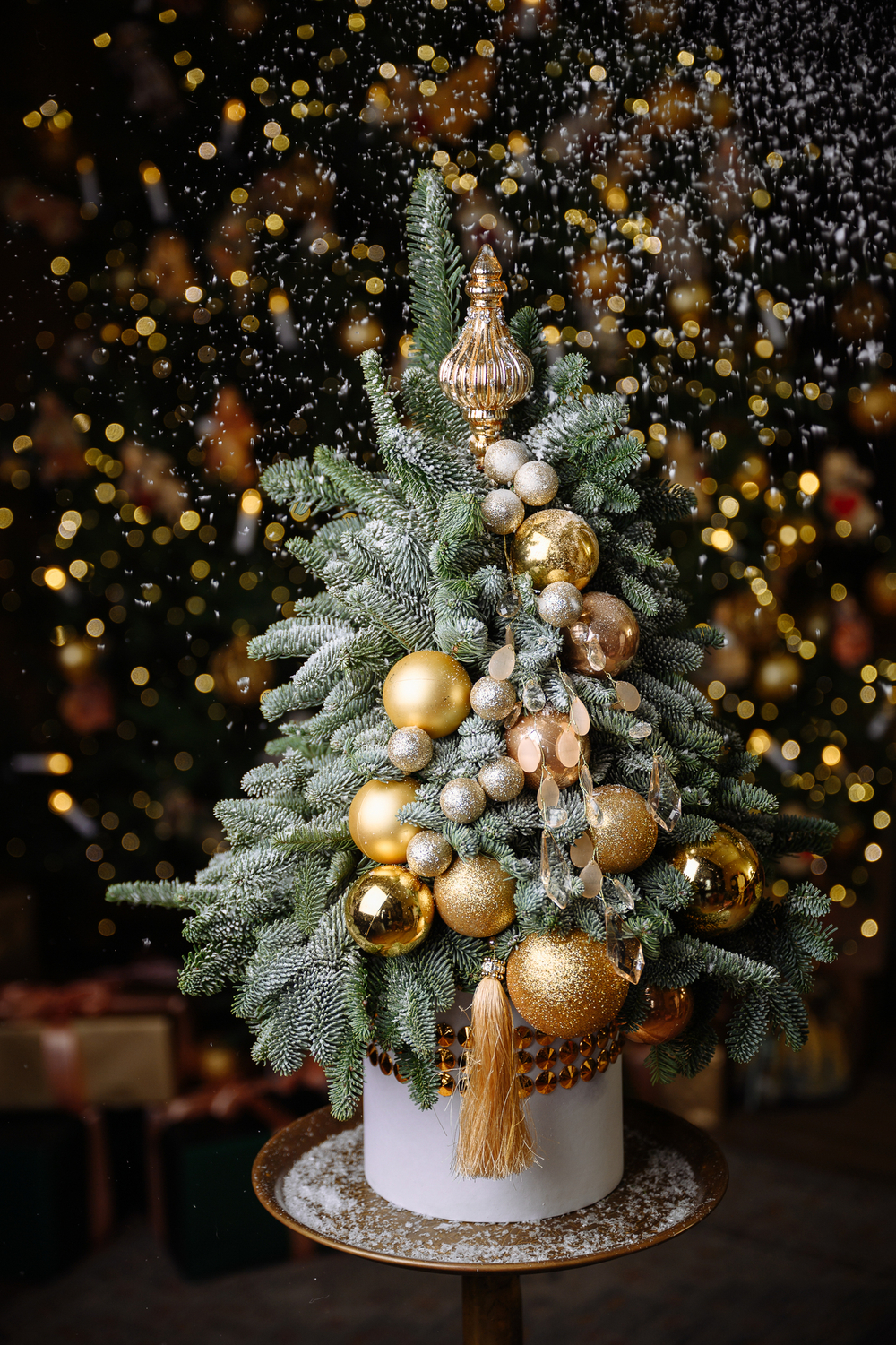 Ёлочка Сказочный сон