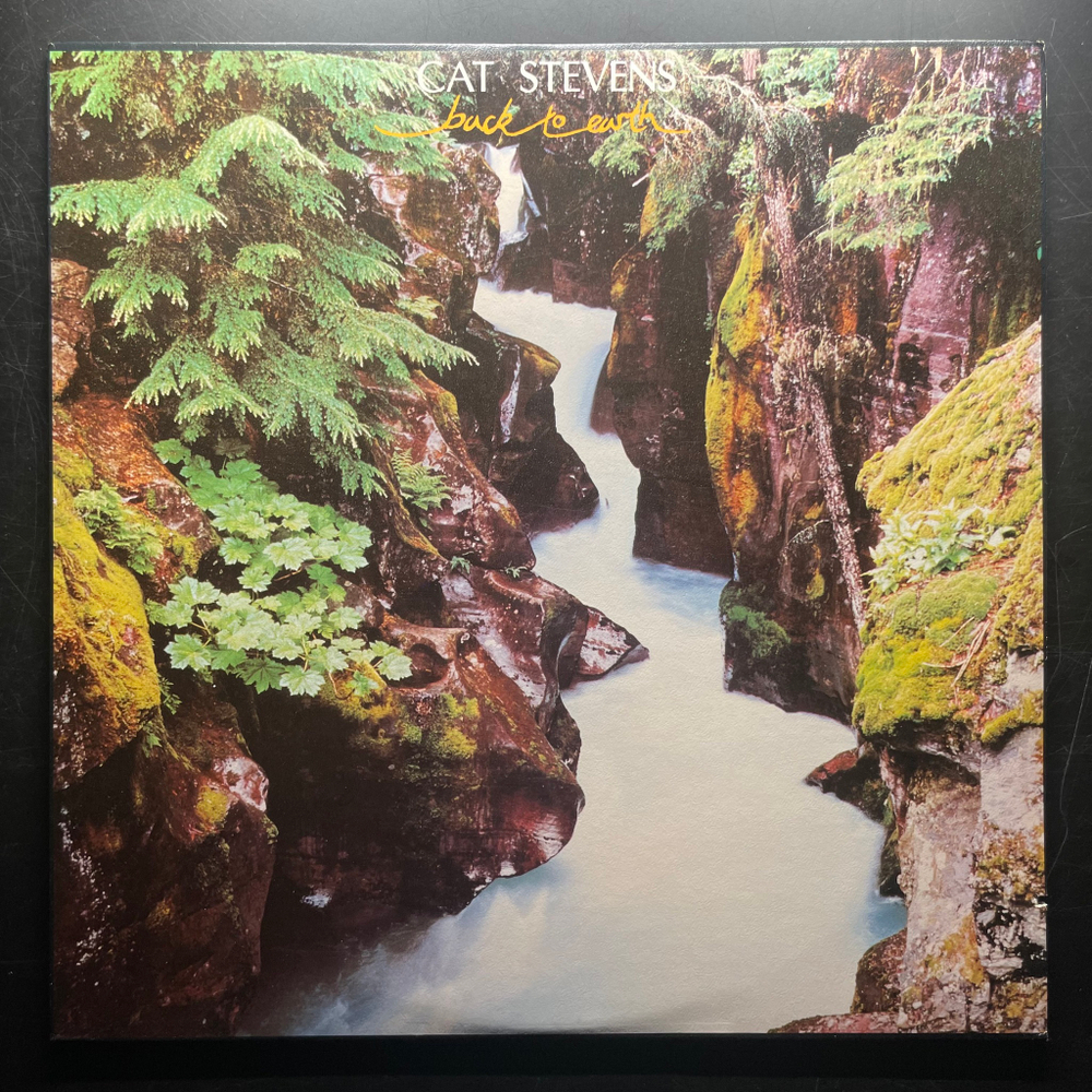 Cat Stevens ‎– Back To Earth (США 1978г.)