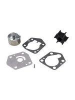 Ремкомплект помпы DT9.9A/DT15A