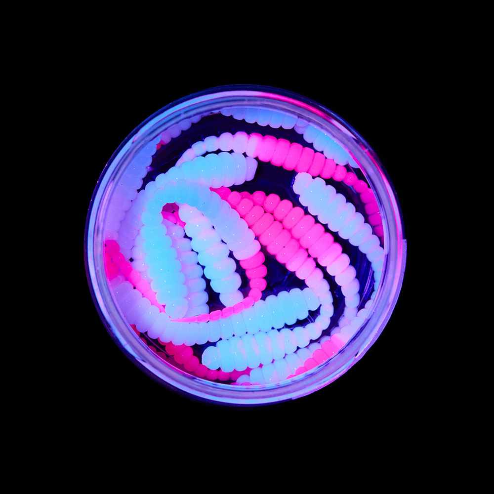 Форелевая приманка "Minoga" BOBR 3,2"(10шт) 80мм, 1,2гр, цвет 25