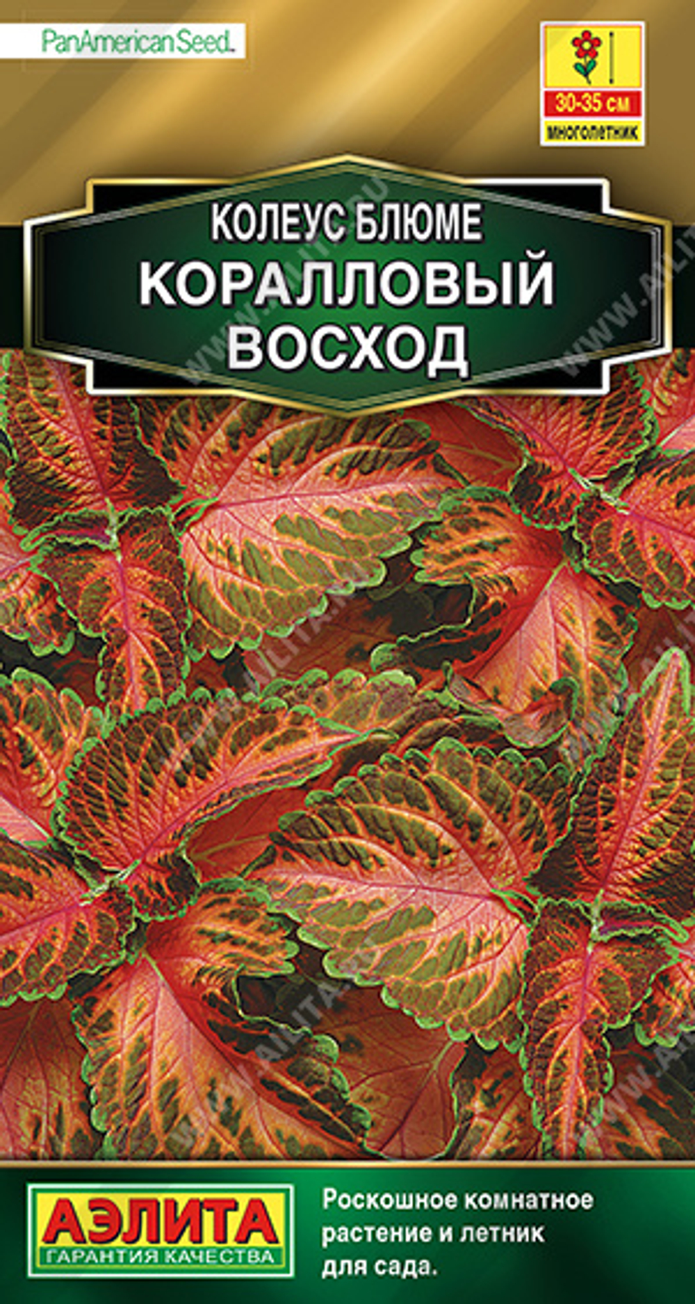 Колеус блюме Коралловый восход 5 шт (Аэлита)