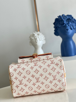 Louis Vuitton Speedy  25