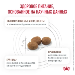 Royal canin gastro intestinal moderate calorie низкокалорийный сухой корм для кошек с нарушениями в работе пищеварительной системы - 400 г