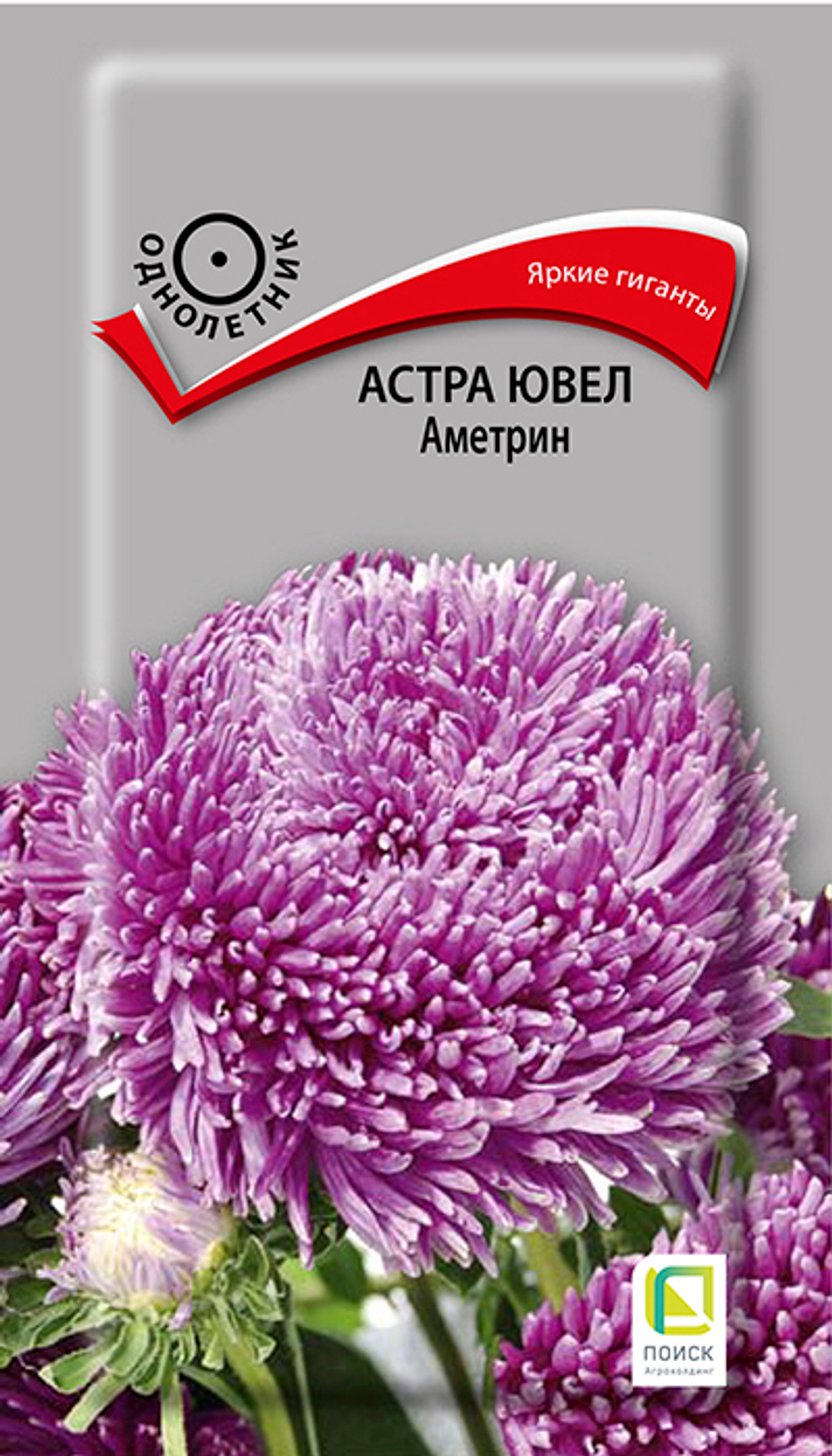 Астра ювел Аметрин