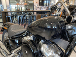 Softail Standard 2020