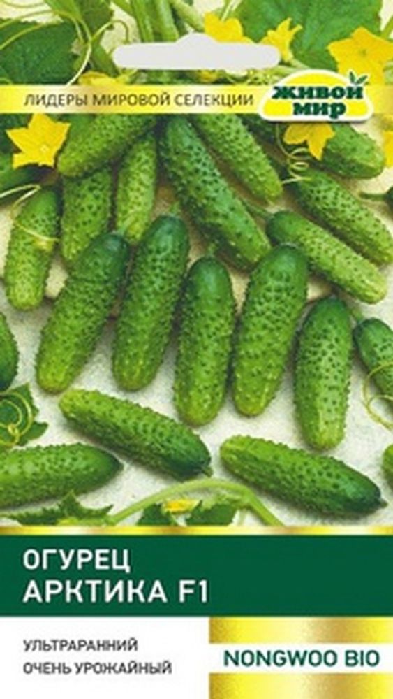 Огурец "ЖМ. Apктикa F1" 5шт, Корея. Огурец "ЖМ. Apктикa F1" 5шт, Корея.