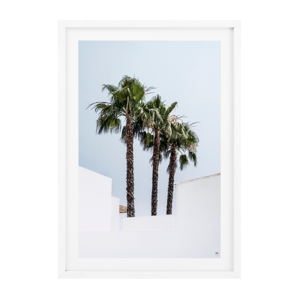 Постер Prints Palm Trees set of 2 арт.112194