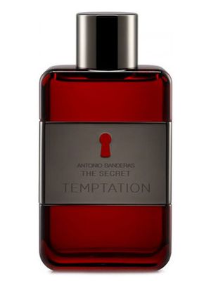 Antonio Banderas The Secret Temptation