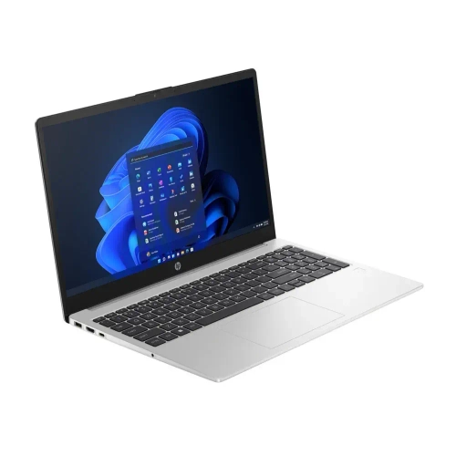 Ноутбук HP ProBook 250 G10 (8A605EA)