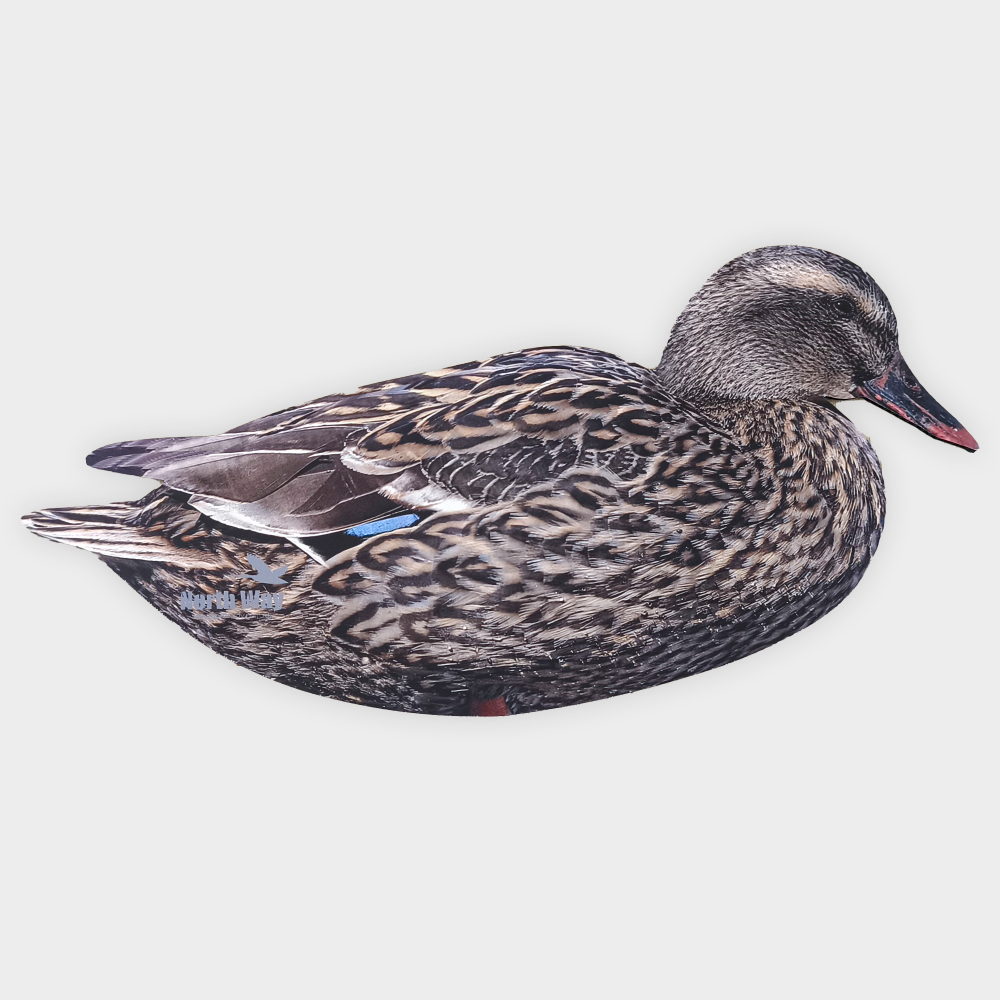 Кряква полевая 12 шт.