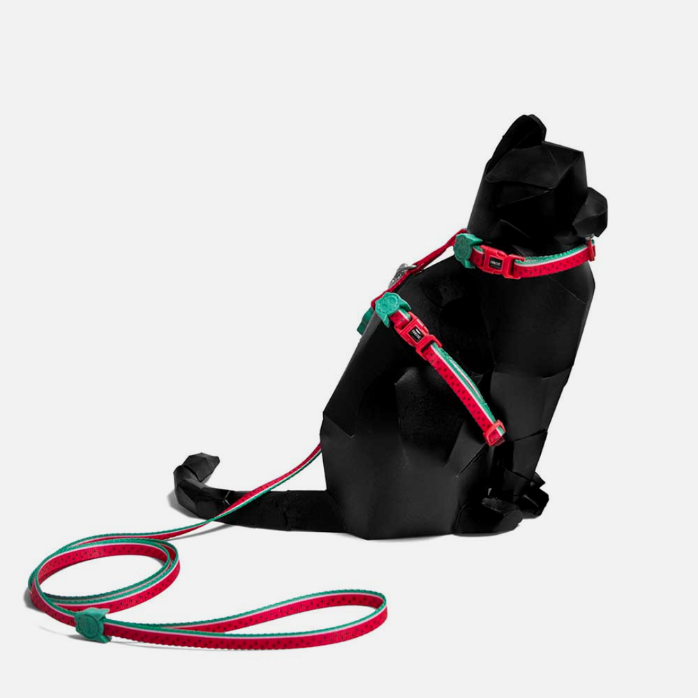 Шлейка+поводок LOLA Zee.Cat