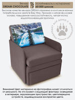 Кресло-кровать "Миник" с подлокотниками, купон Пейзаж