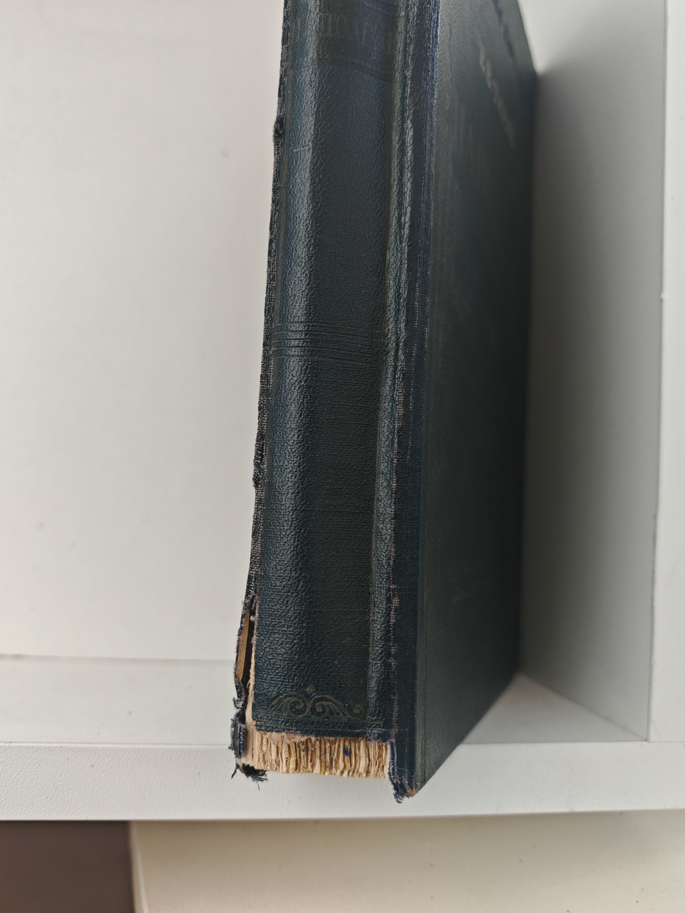 Наполеон (дефект)