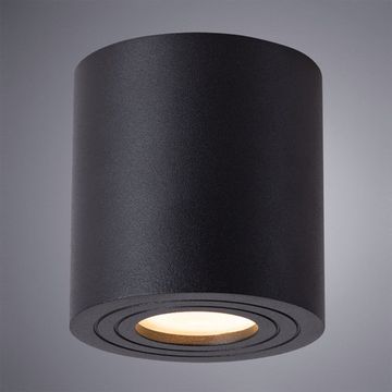 Уличный потолочный светильник A1460PL-1BK черный Galopin Arte lamp