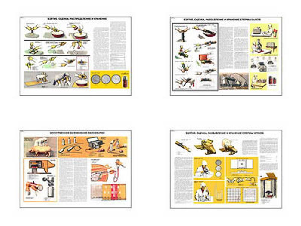 Плакаты ПРОФТЕХ &quot;Осеменение&quot; (4 пл, винил, 70х100)