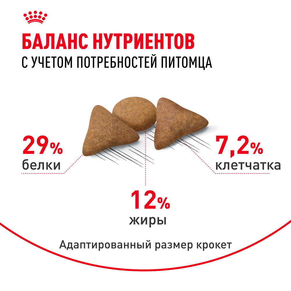 Royal Canin Indoor Appetite Control ИНДОР АППЕТАЙТ КОНТРОЛ Корм сухой для кошек живущих в помещении склонных к перееданию от 1 года до 7 лет 400г