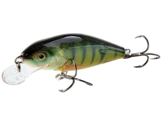 Воблер плавающий Salmo PERCH F 08/PH