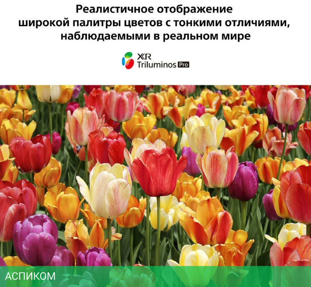 Телевизор LED Sony 75" XR-75X90J