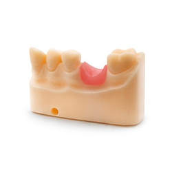 Dental Soft Pink